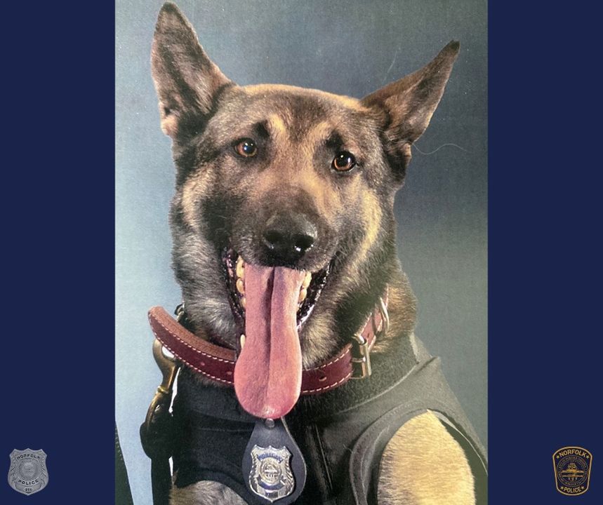 Norfolk Police Department Mourns the Loss of Beloved K9 Ficko