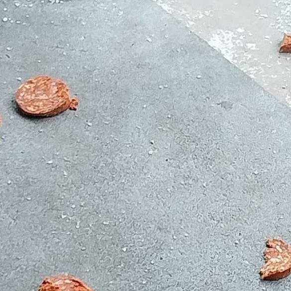 New jersey woman says home was attacked with pepperoni - photo licensed by shore news network.