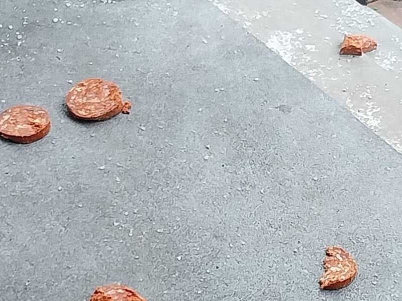 New Jersey Woman Says Home Was Attacked with Pepperoni