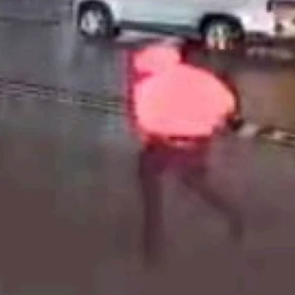 Newark police seek public's help to locate suspect in armed robbery - photo licensed by shore news network.