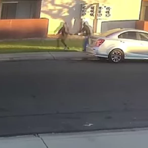 Man who tried to abduct young child caught on video, arrested - photo licensed by shore news network.