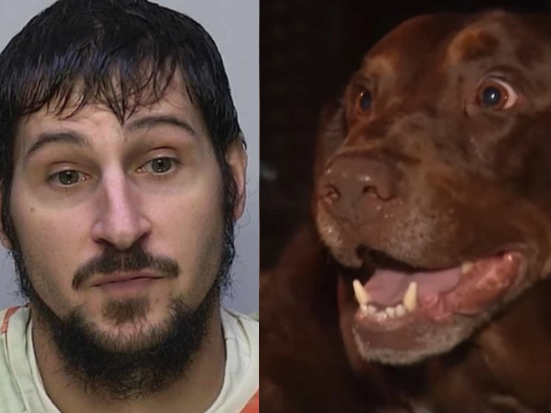 Kidnapped Elderly Couple's Chocolate Lab Helps Find Fugitive Prison Escapee