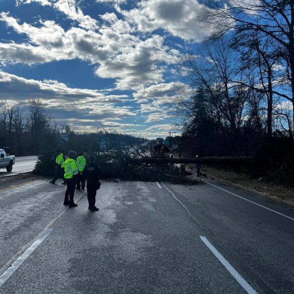Kenilworth avenue reopens after tree removal in greenbelt - photo licensed by shore news network.