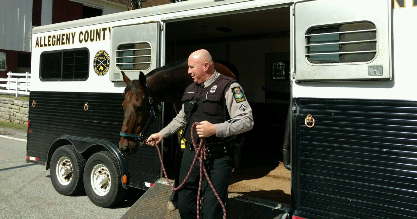 Allegheny County Police Department Mourns the Loss of Retired Police Horse King