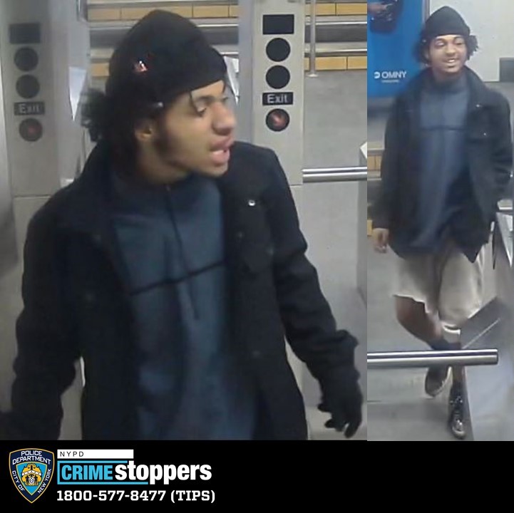Subway Toucher Sought by New York City Police