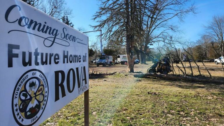 Jackson tree companies help clean up rova farms ahead of spring - photo licensed by shore news network.