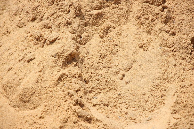 Toddler Rescued After Sand Collapse on Sea Girt Beach