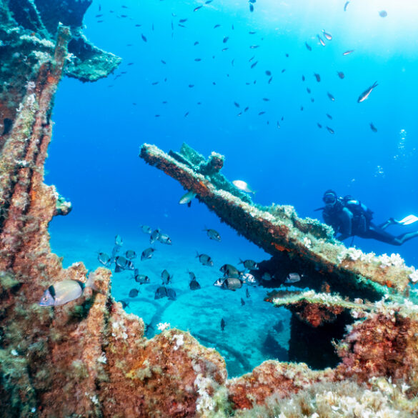 Brick township historical society to explore local shipwreck mystery - photo licensed by shore news network.