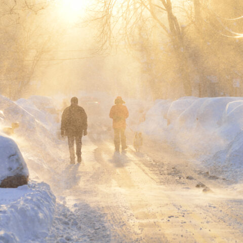 Is a huge snow storm really hitting new jersey on tuesday? Should you be concerned? - photo licensed by shore news network.