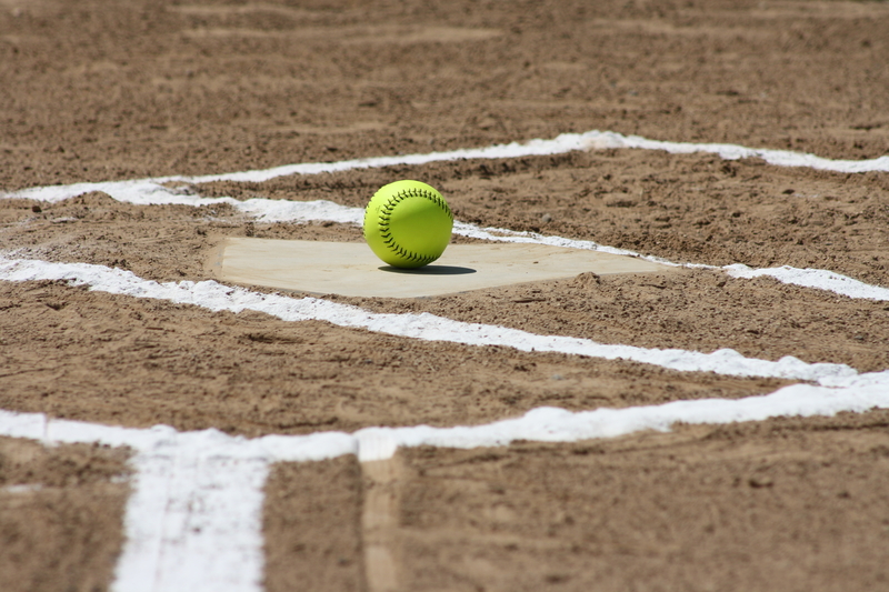 Palmieri Throws Perfect Game as Point Boro Extends Unbeaten Streak
