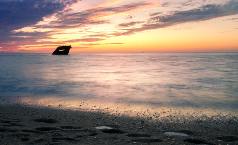Juvenile humpback whale washes ashore at sunset beach in cape may - photo licensed by shore news network.