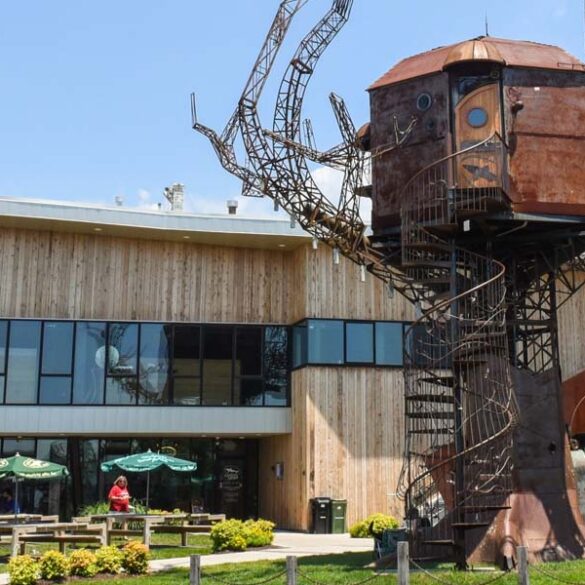 Dogfish head celebrates delaware with 302 day festival at milton brewery - photo licensed by shore news network.