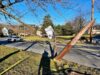 Downed utility pole after hit and run crash in gloucester Downed utility pole after hit and run crash in gloucester