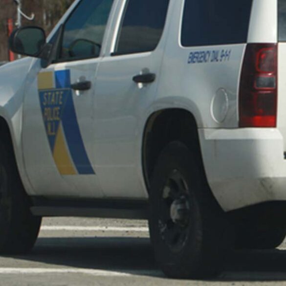 Human remains discovered in wooded area of new jersey known as historic mafia burial grounds - photo licensed by shore news network.