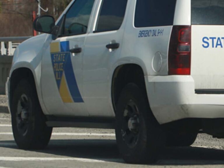 Human remains discovered in wooded area of new jersey known as historic mafia burial grounds - photo licensed by shore news network.