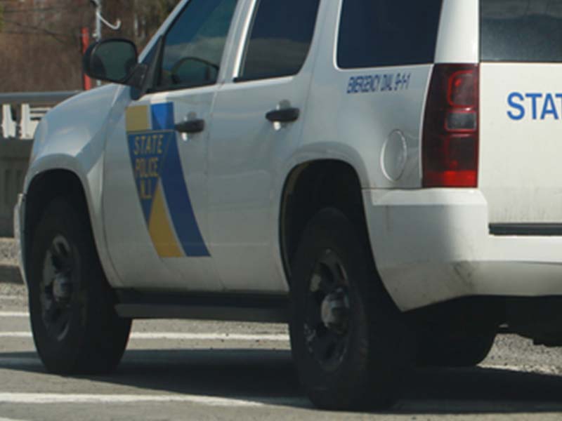 Human Remains Discovered in Wooded Area of New Jersey Known as Historic Mafia Burial Grounds
