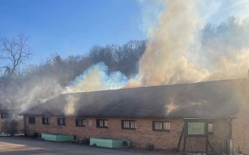 Reptile Shelter Up in Flames as Firefighters Rush to Save Critters' Lives