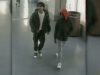 Police seek public's help identifying suspects in silver spring mall robbery