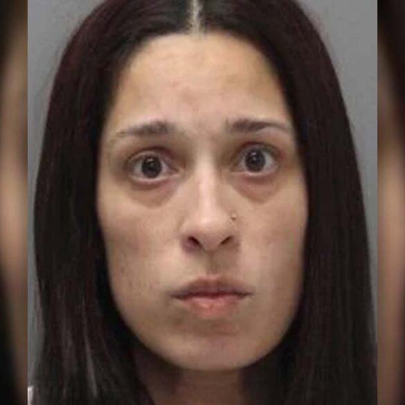 Million dollar bail set for delaware woman in deadly stabbing - photo licensed by shore news network.