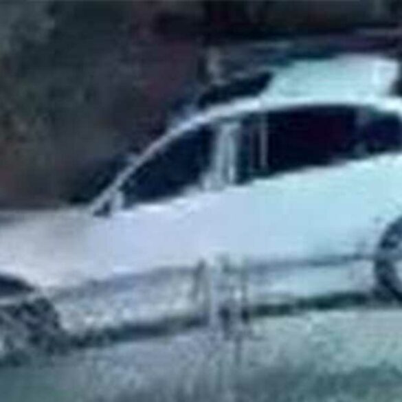 Vehicle sought in burglary near cattus island boulevard - photo licensed by shore news network.