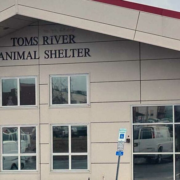 Toms river animal shelter now allows walk-in adoptions, not closing - photo licensed by shore news network.
