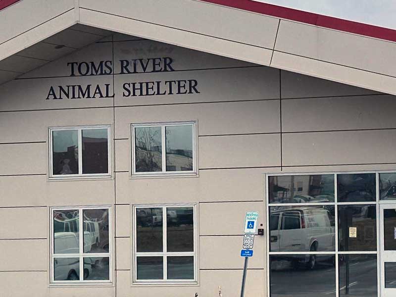 Toms River Animal Shelter Now Allows Walk-In Adoptions, Not Closing