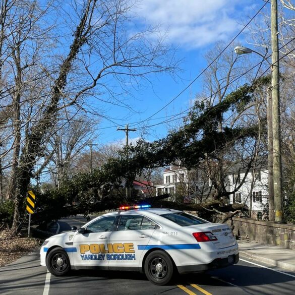 Traffic alert: road closure in yardley borough due to fallen tree - photo licensed by shore news network.