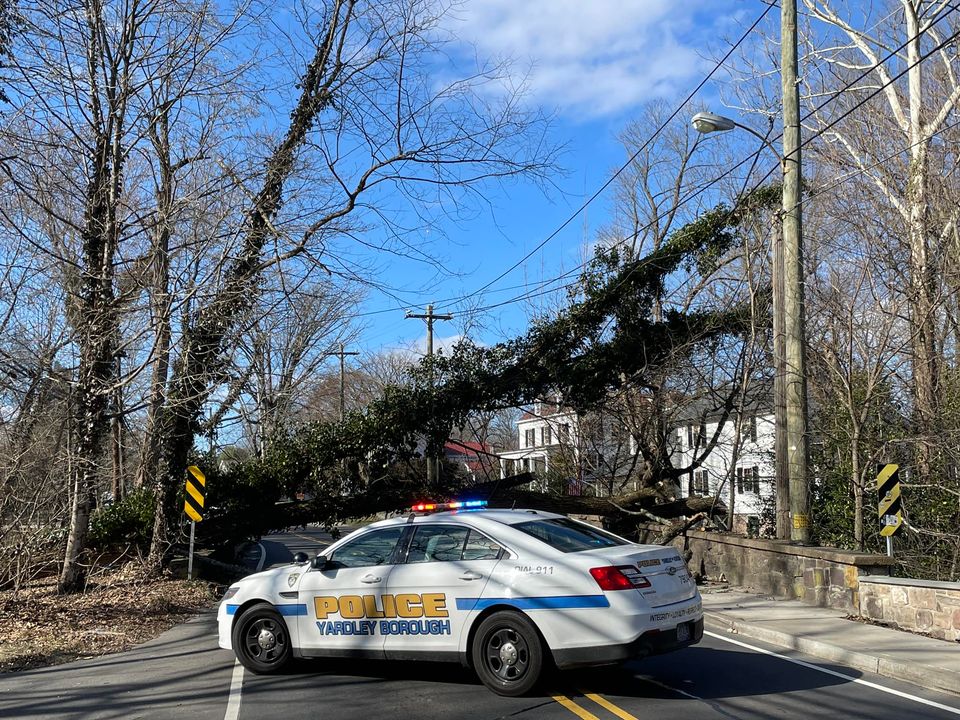 Traffic Alert: Road Closure in Yardley Borough Due to Fallen Tree