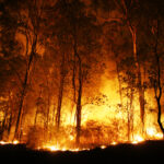 A bushfire burning orange and red at night.