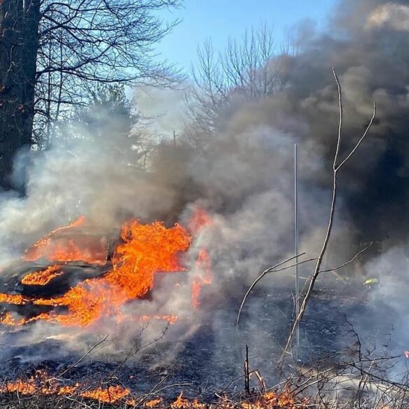 Two new jersey cops injured saving reckless driver from fiery car crash - photo licensed by shore news network.