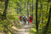 Explore new jersey's vast hiking trail networks this spring
