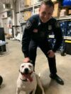Fort lee police department seeks owner of lost dog
