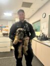 Lost dog found in fort lee