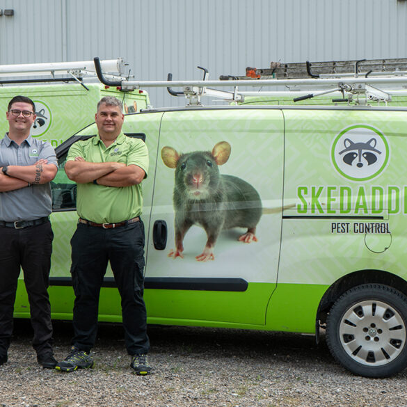 Skedaddle expands humane wildlife control services to prince george’s county - photo licensed by shore news network.