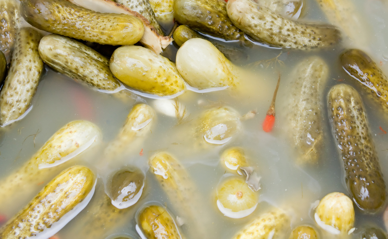 Pickled cucumbers in a barrel with brine