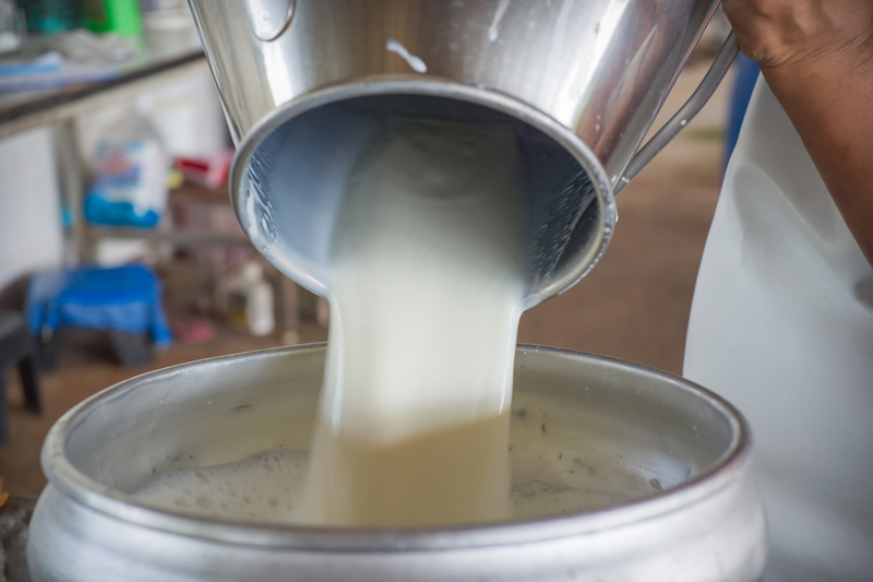 Multistate E. Coli Outbreak Allegedly Linked to Raw Cheddar Cheese Made in New Jersey