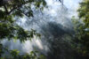 Forest resource education center hosts august events in jackson