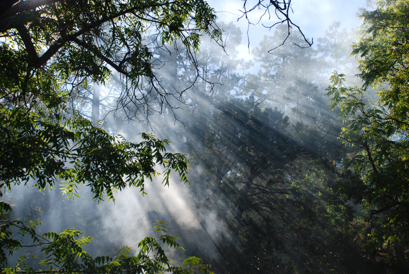 What's That Smell? Smoke in South Jersey Tracked to South Jersey Country Club
