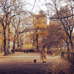 Woman-Walking-Dog-Central-Park