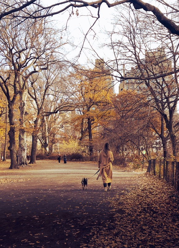 Woman-Walking-Dog-Central-Park