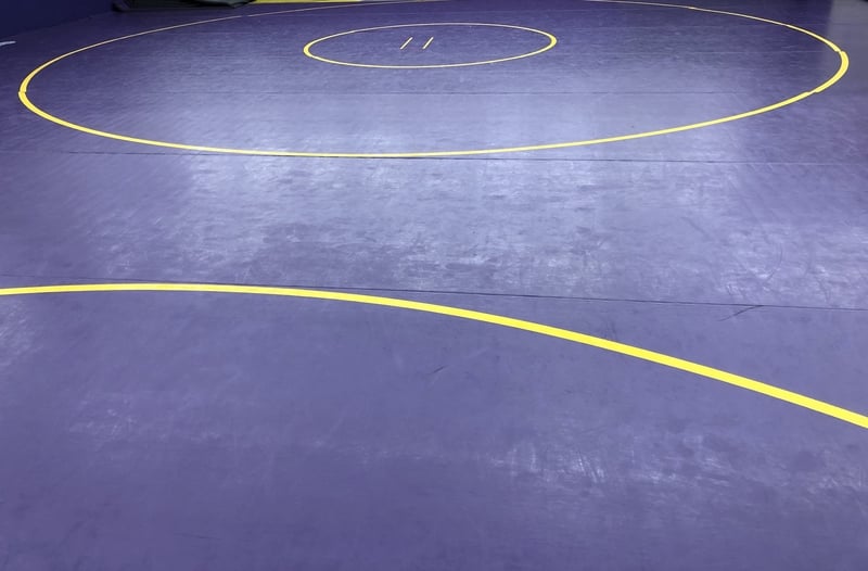 New Jersey High School Wrestler Arrested for Attacking Fan During Match Ordered to Compete by Judge