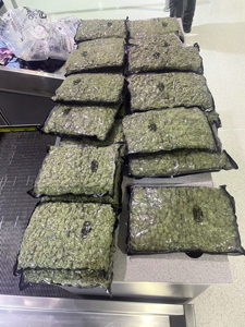 Baltimore CBP Intercepts 32-Pound Marijuana Load Destined to London, Passenger Released