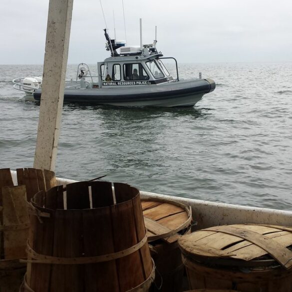 Tangier man pleads guilty to overharvesting and illegally selling chesapeake blue crabs - photo licensed by shore news network.