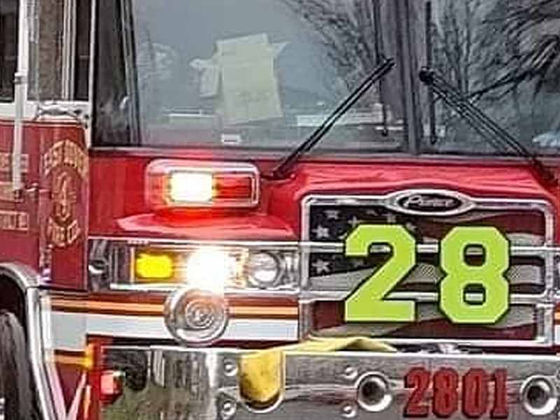 Firefighters Rescue Cats from Burning Home in Toms River