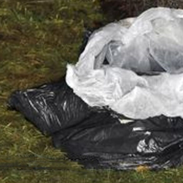 Syracuse police investigate discovery of deceased dog - photo licensed by shore news network.