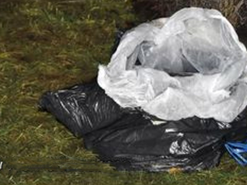Syracuse Police Investigate Discovery of Deceased Dog