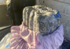 Dulles cbp intercepts 53-pound marijuana load destined to paris, mwaa police arrest maryland woman