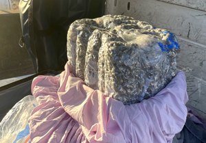 Dulles CBP Intercepts 53-Pound Marijuana Load Destined to Paris, MWAA Police Arrest Maryland Woman