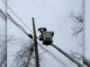 New Jersey Utility Crew Rescues Cat from Telephone Lines New Jersey Utility Crew Rescues Cat from Telephone Lines