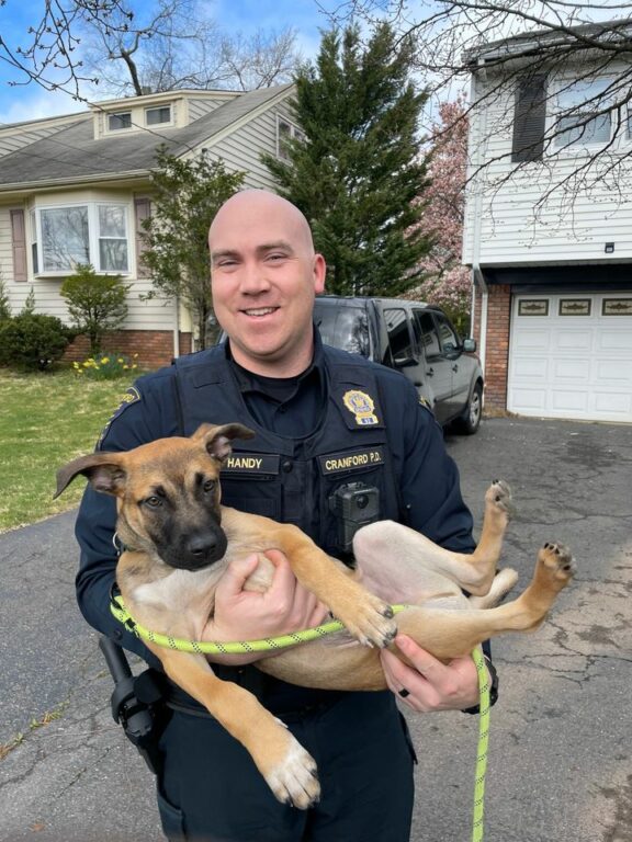 Cranford Detective Partners with Puppy Touchdown for "Woof Wednesday"
